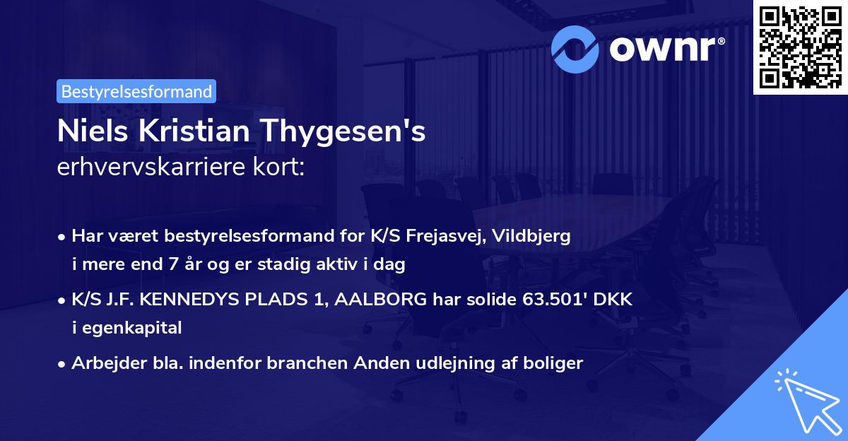 Niels Kristian Thygesen's erhvervskarriere kort