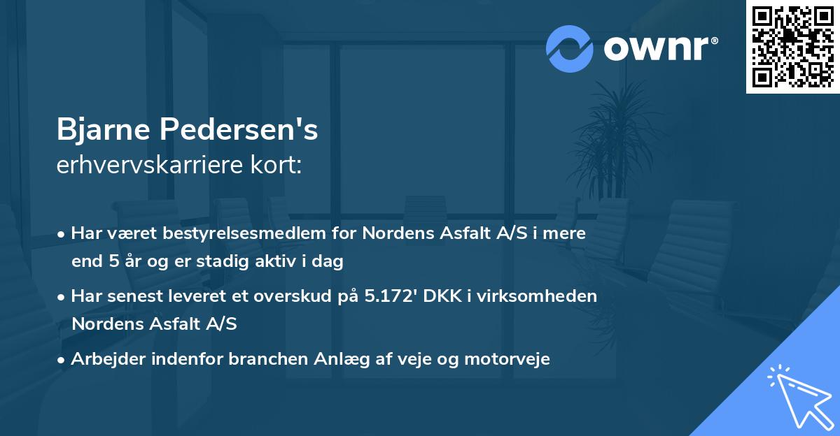 Bjarne Pedersen's erhvervskarriere kort