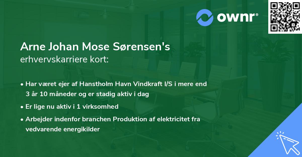 Arne Johan Mose Sørensen's erhvervskarriere kort