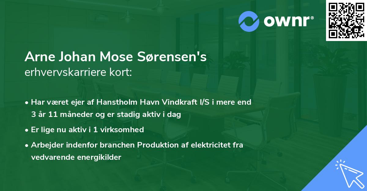 Arne Johan Mose Sørensen's erhvervskarriere kort