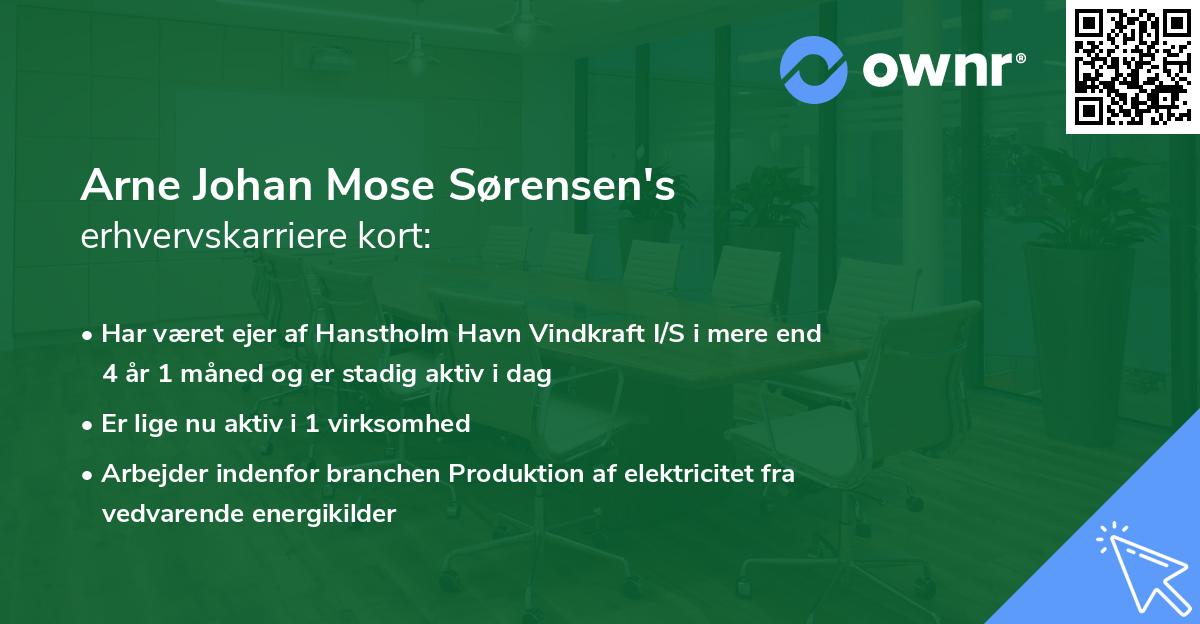 Arne Johan Mose Sørensen's erhvervskarriere kort