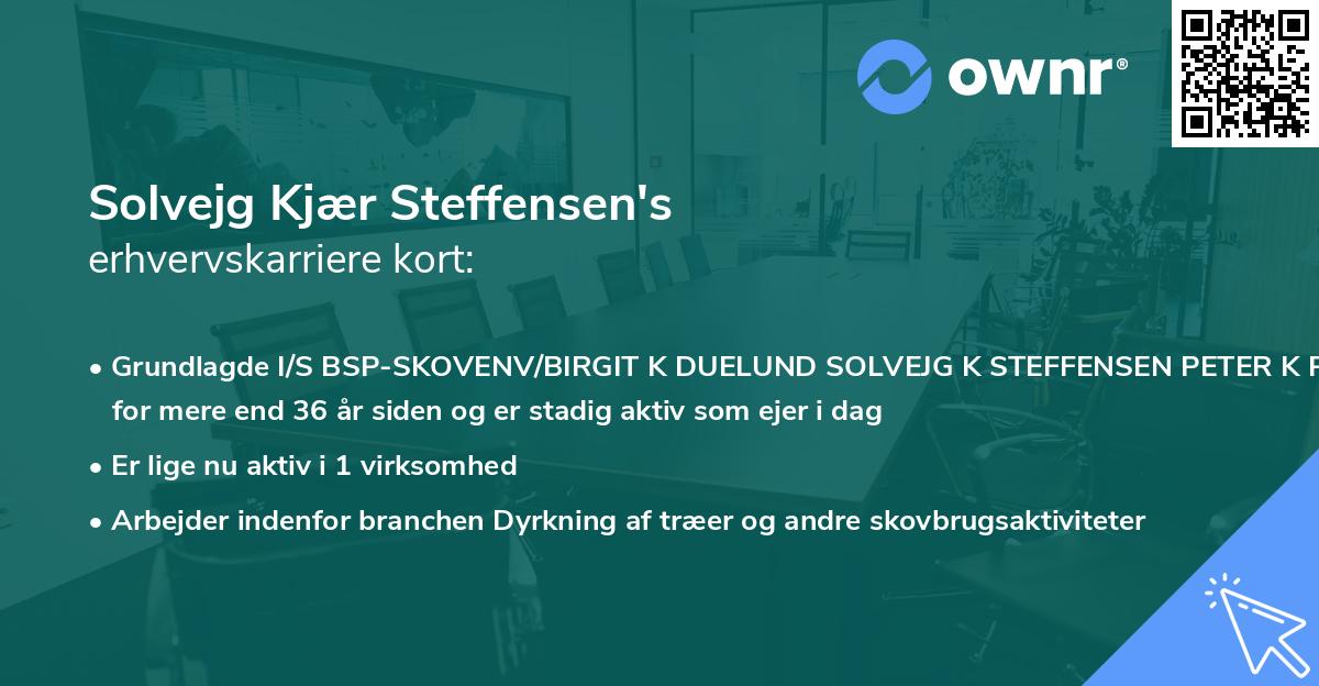 Solvejg Kjær Steffensen's erhvervskarriere kort