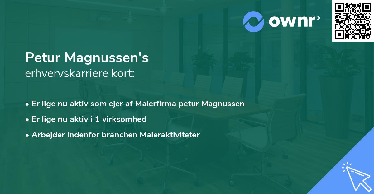 Petur Magnussen's erhvervskarriere kort