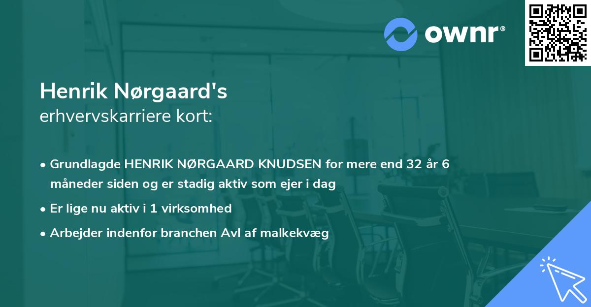 Henrik Nørgaard's erhvervskarriere kort
