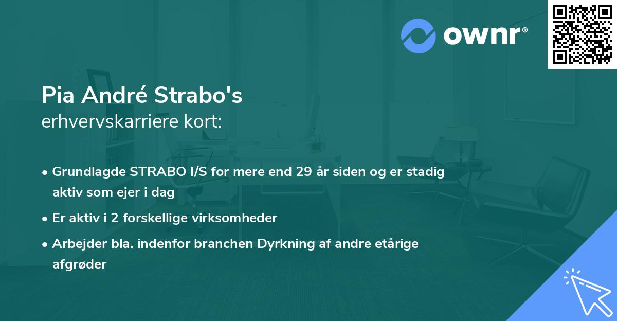 Pia André Strabo's erhvervskarriere kort