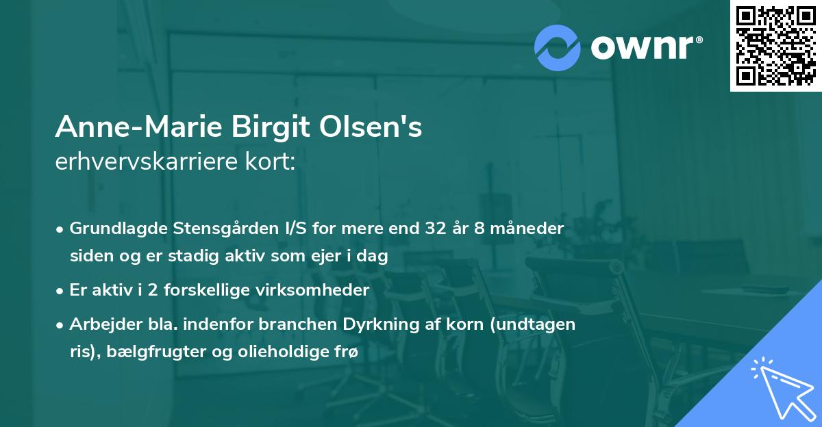 Anne-Marie Birgit Olsen's erhvervskarriere kort