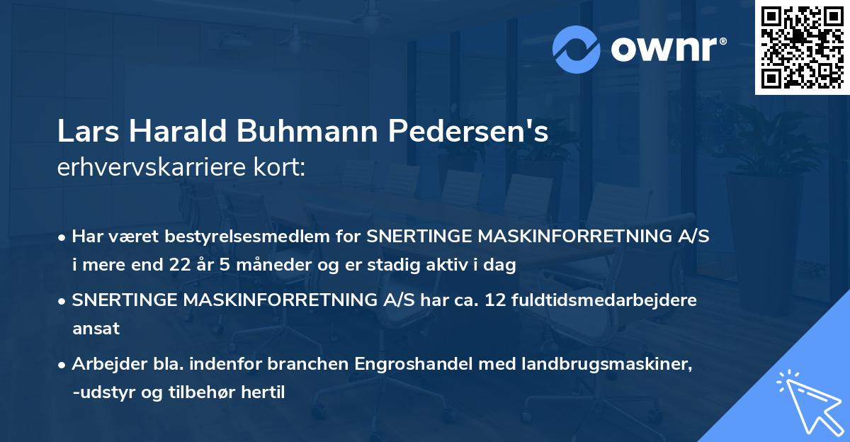 Lars Harald Buhmann Pedersen's erhvervskarriere kort