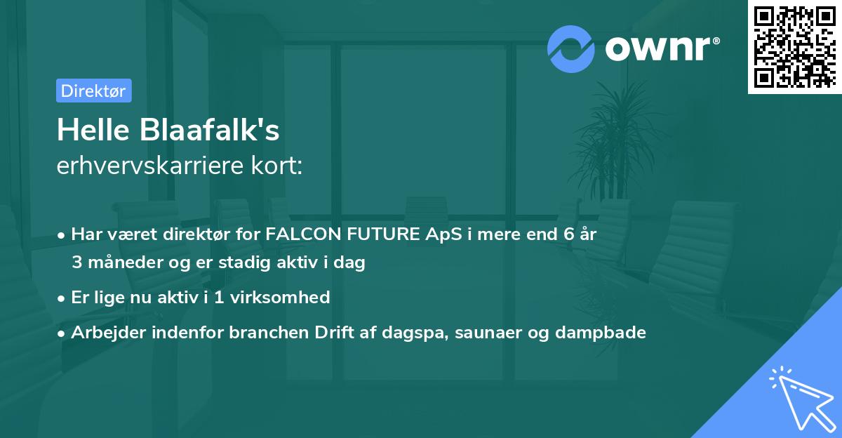 Helle Blaafalk's erhvervskarriere kort