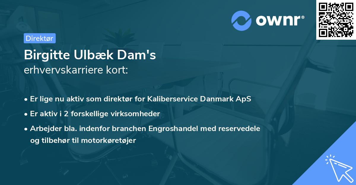 Birgitte Ulbæk Dam's erhvervskarriere kort