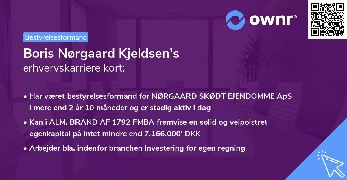 Boris Nørgaard Kjeldsen's erhvervskarriere kort