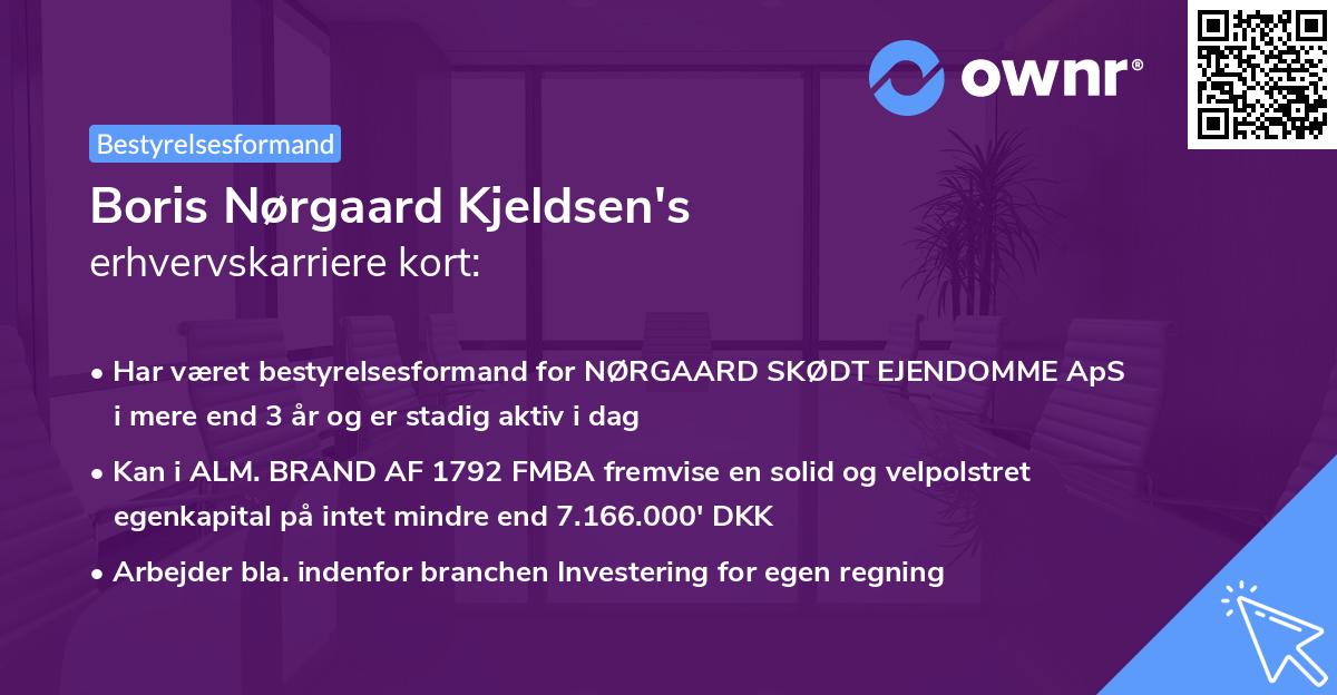 Boris Nørgaard Kjeldsen's erhvervskarriere kort