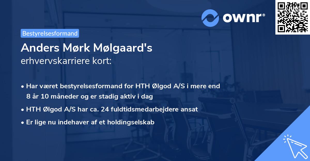 Anders Mørk Mølgaard's erhvervskarriere kort