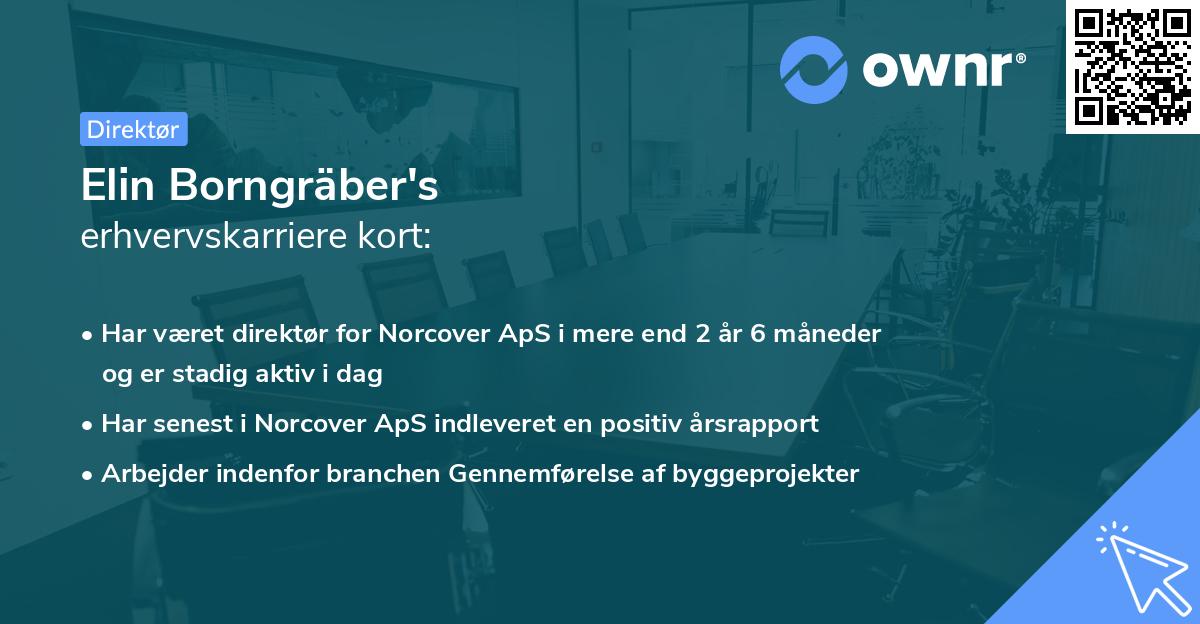 Elin Borngräber's erhvervskarriere kort