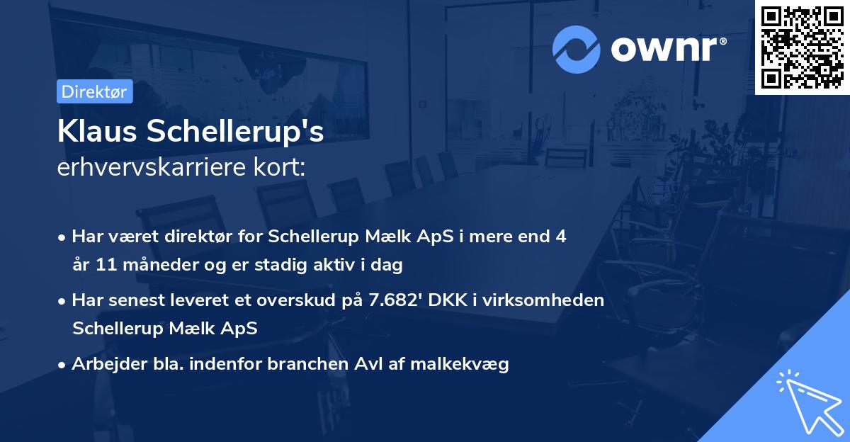Klaus Schellerup's erhvervskarriere kort