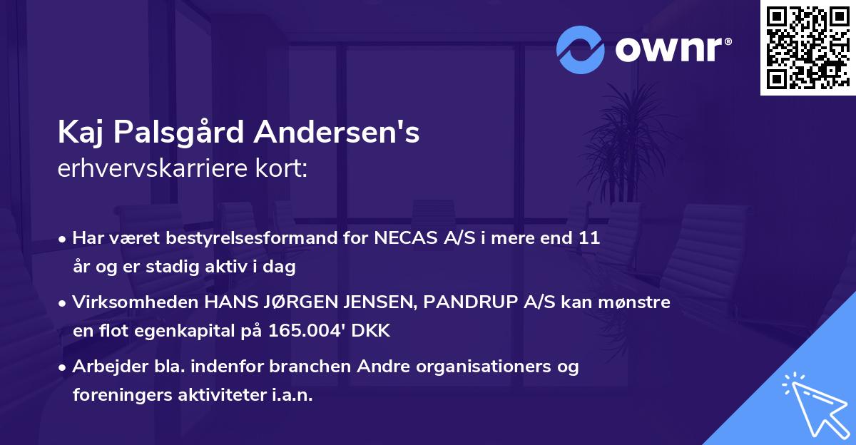 Kaj Palsgård Andersen's erhvervskarriere kort
