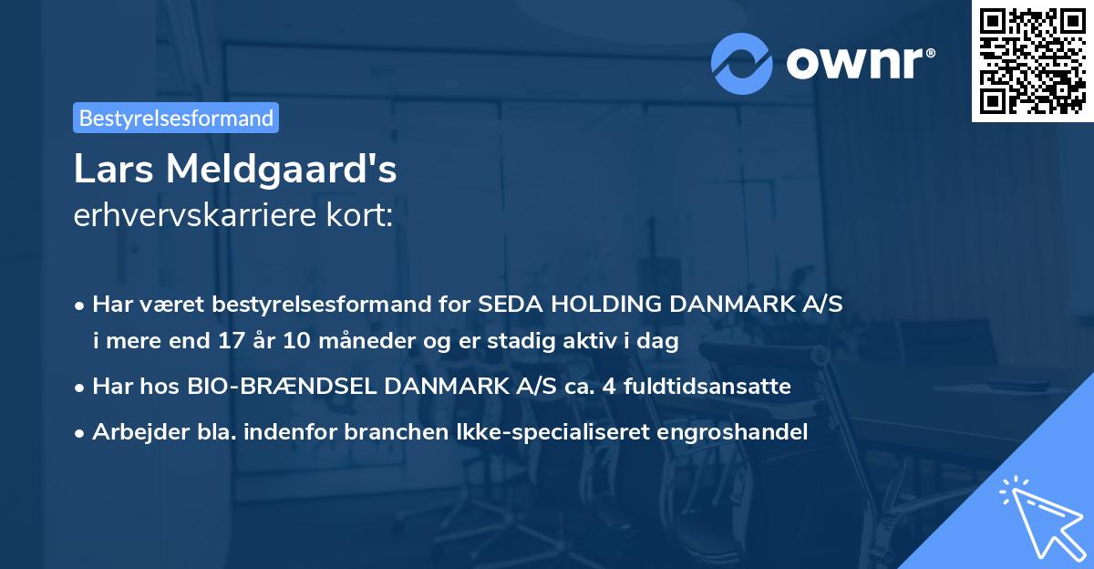 Lars Meldgaard's erhvervskarriere kort