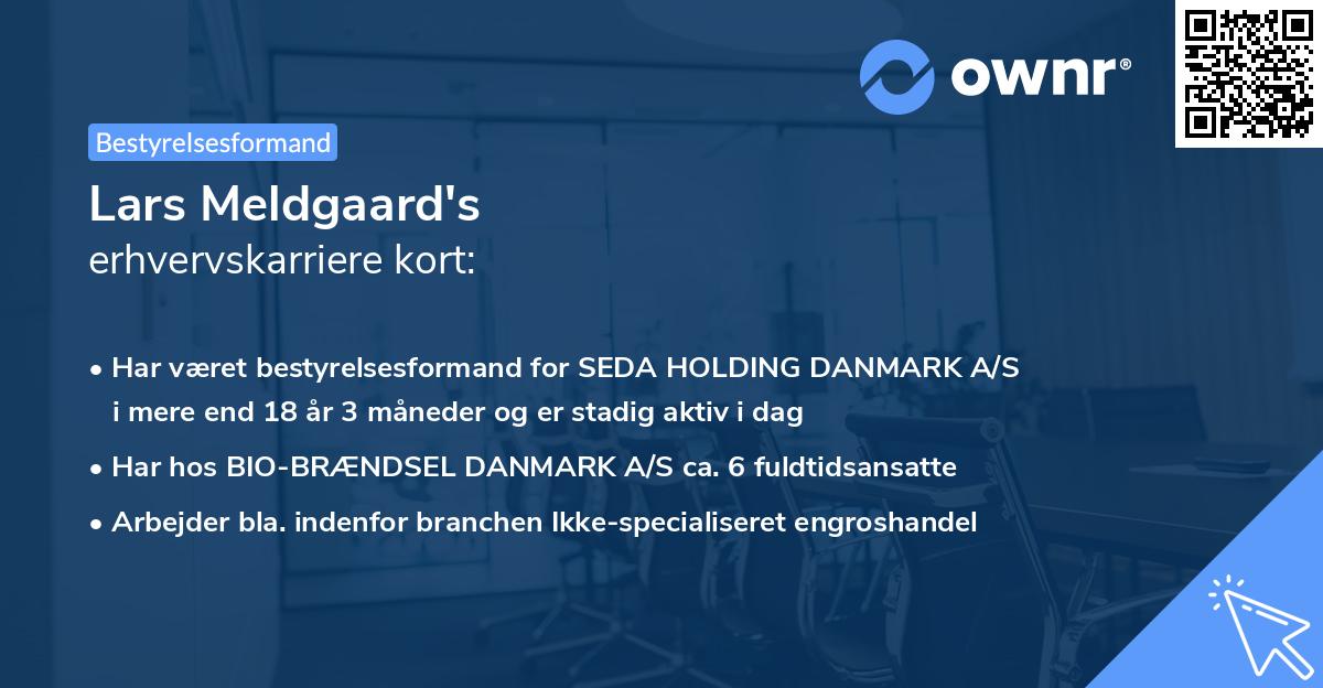 Lars Meldgaard's erhvervskarriere kort