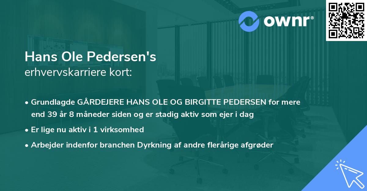 Hans Ole Pedersen's erhvervskarriere kort