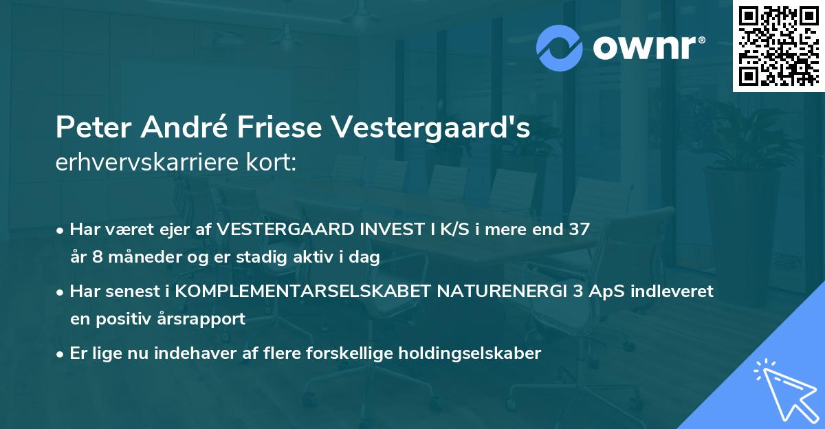 Peter André Friese Vestergaard's erhvervskarriere kort