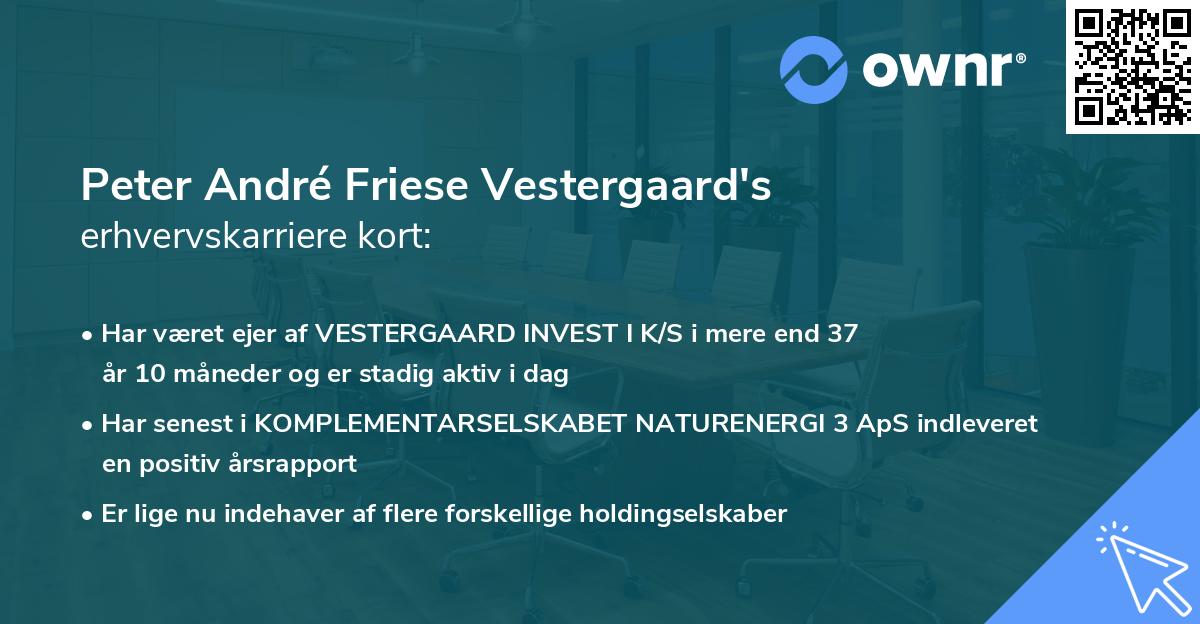 Peter André Friese Vestergaard's erhvervskarriere kort