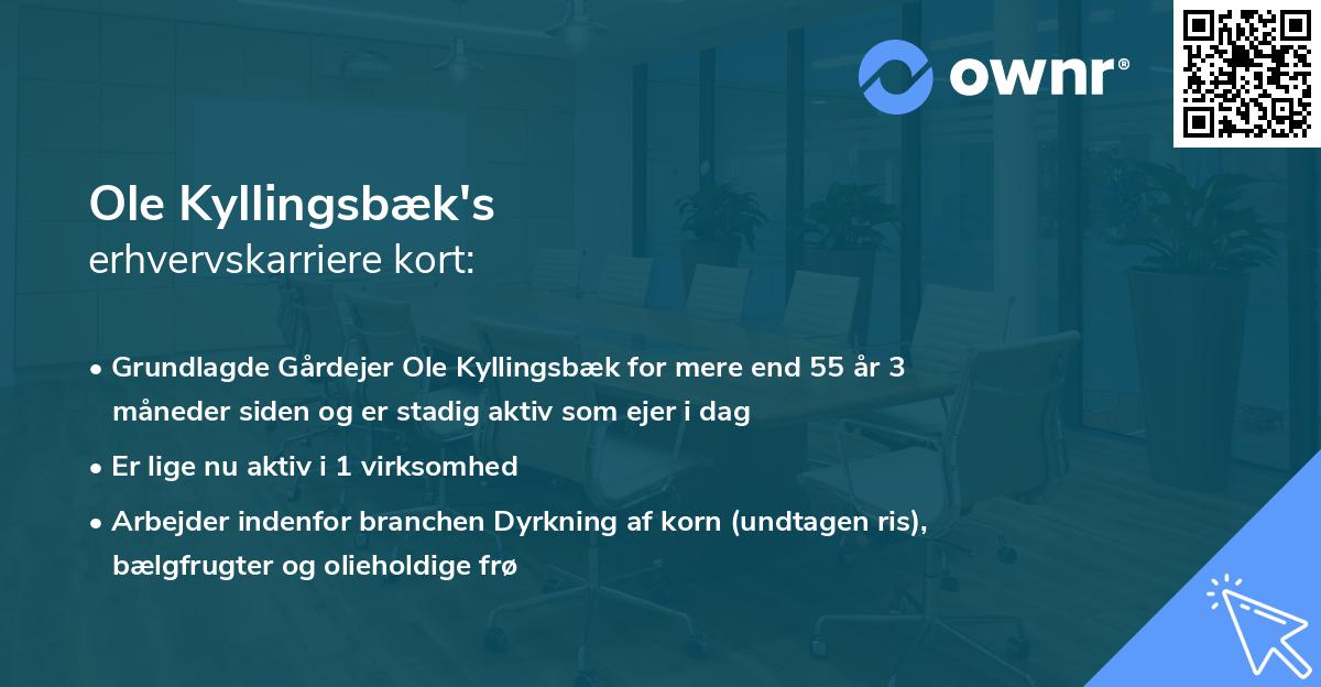 Ole Kyllingsbæk's erhvervskarriere kort