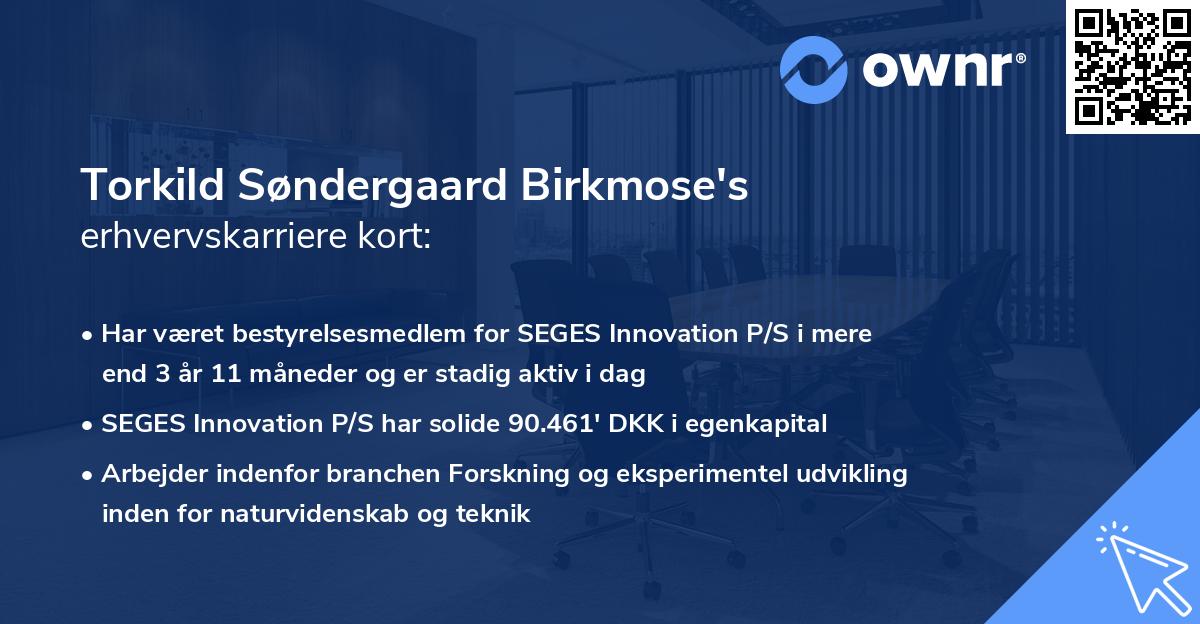 Torkild Søndergaard Birkmose's erhvervskarriere kort