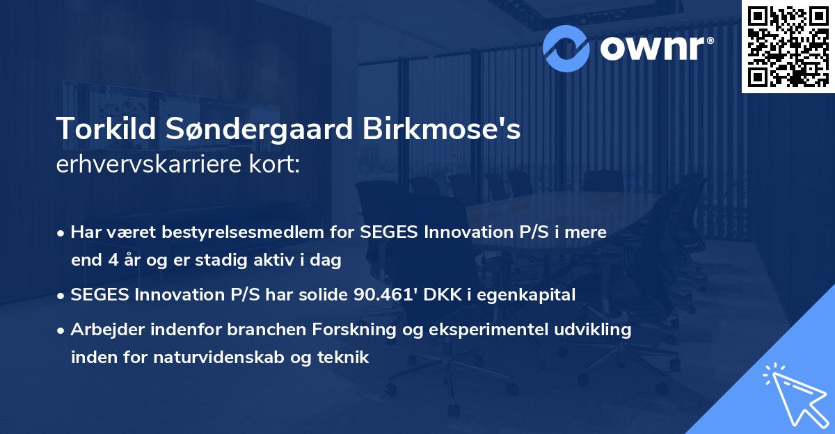 Torkild Søndergaard Birkmose's erhvervskarriere kort