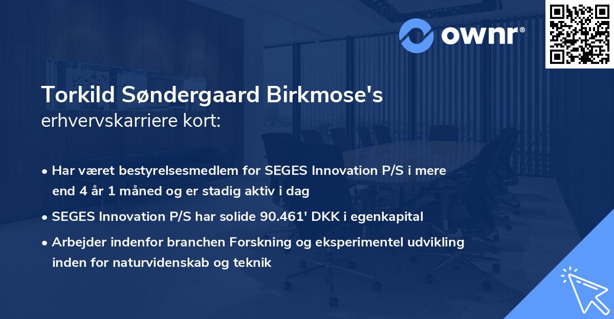 Torkild Søndergaard Birkmose's erhvervskarriere kort