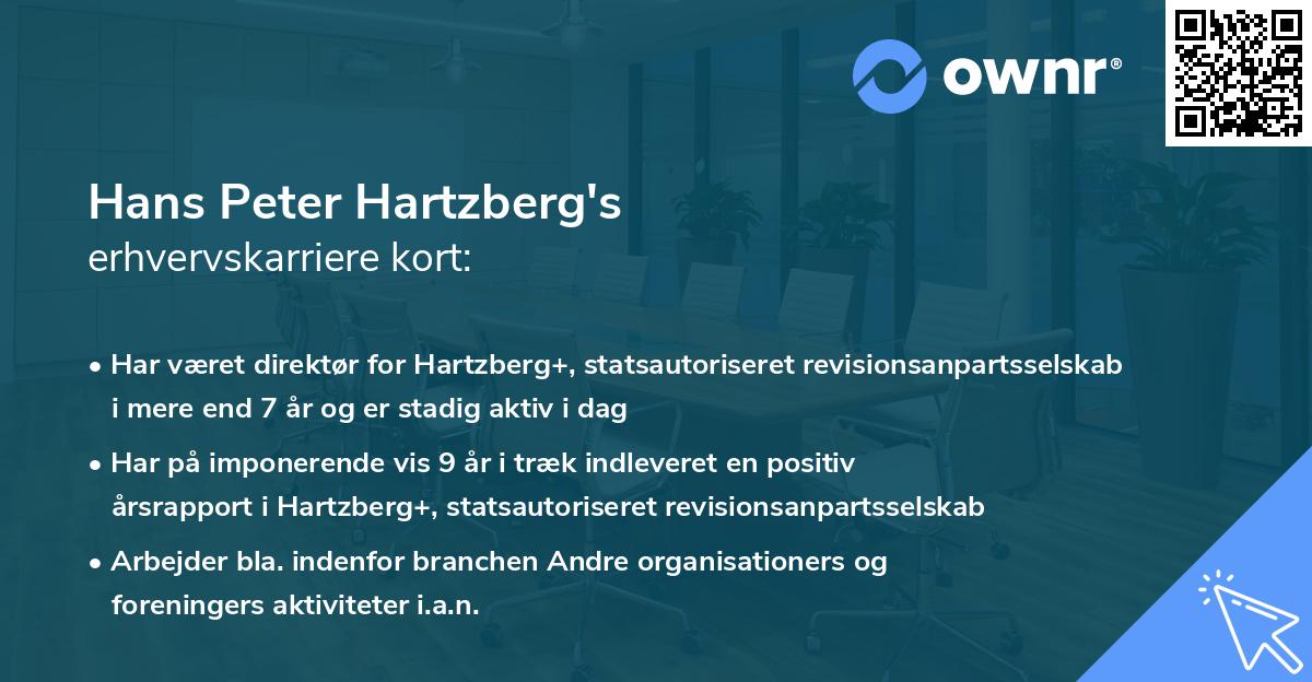Hans Peter Hartzberg's erhvervskarriere kort