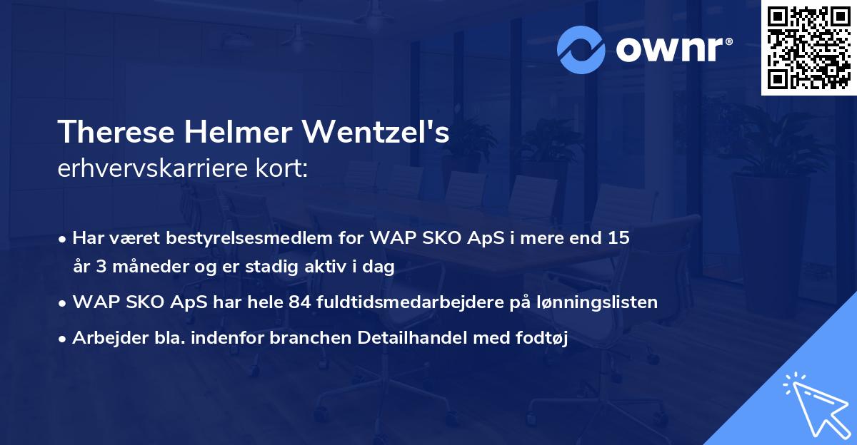 Therese Helmer Wentzel's erhvervskarriere kort