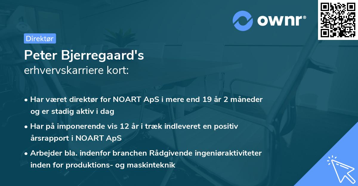 Peter Bjerregaard's erhvervskarriere kort
