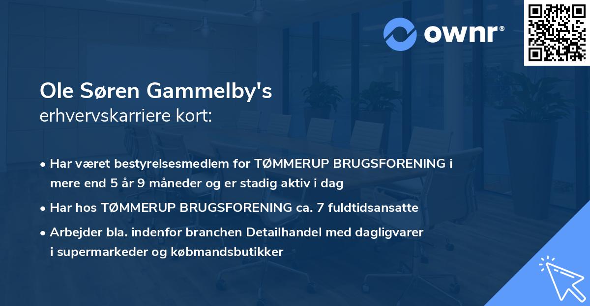 Ole Søren Gammelby's erhvervskarriere kort