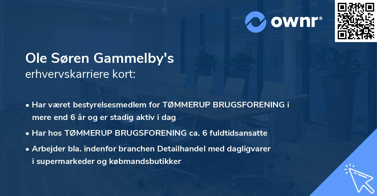 Ole Søren Gammelby's erhvervskarriere kort