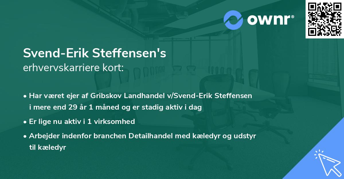 Svend-Erik Steffensen's erhvervskarriere kort
