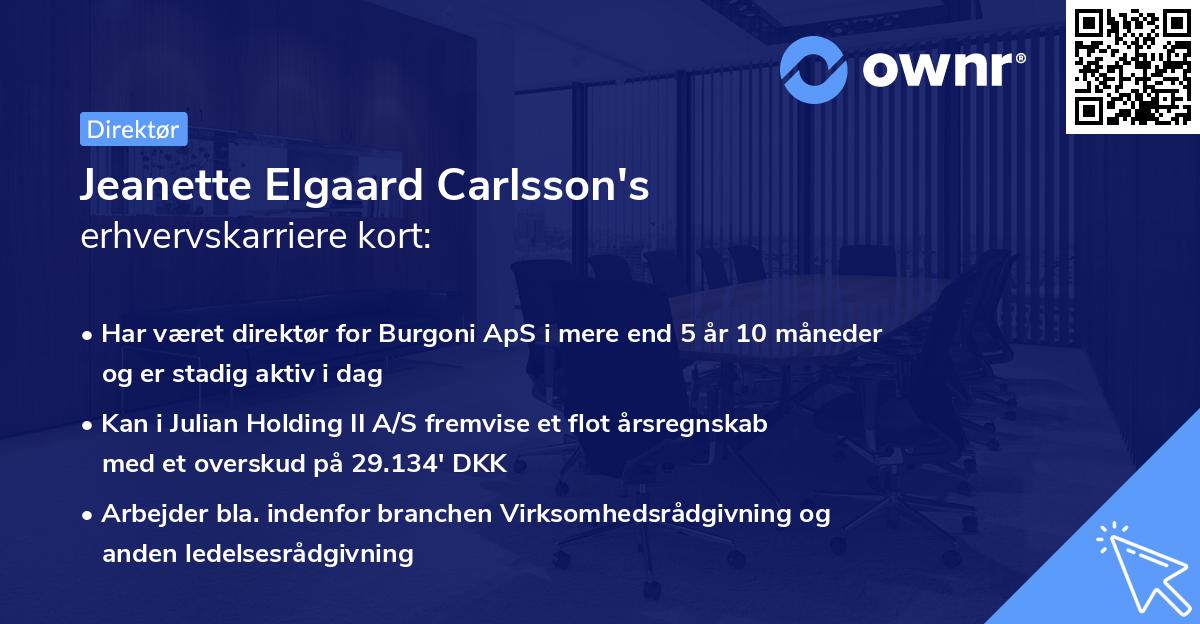 Jeanette Elgaard Carlsson's erhvervskarriere kort