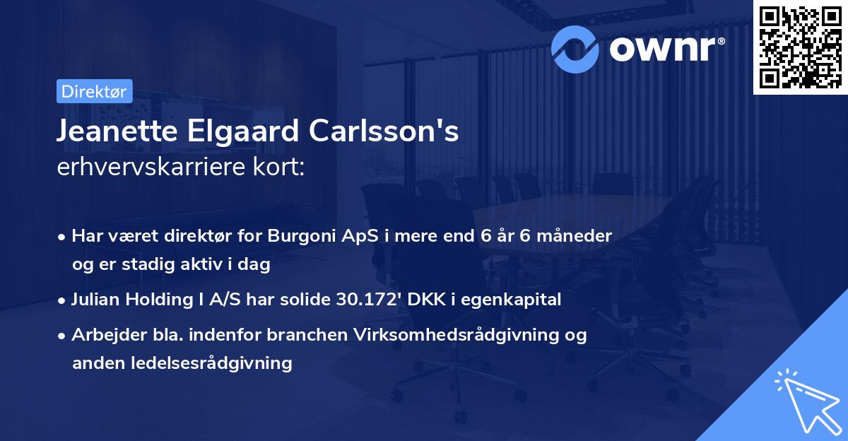 Jeanette Elgaard Carlsson's erhvervskarriere kort