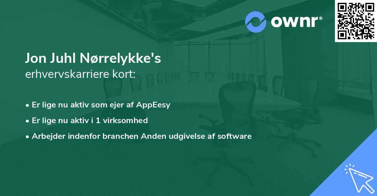 Jon Juhl Nørrelykke's erhvervskarriere kort