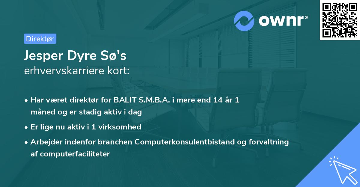 Jesper Dyre Sø's erhvervskarriere kort