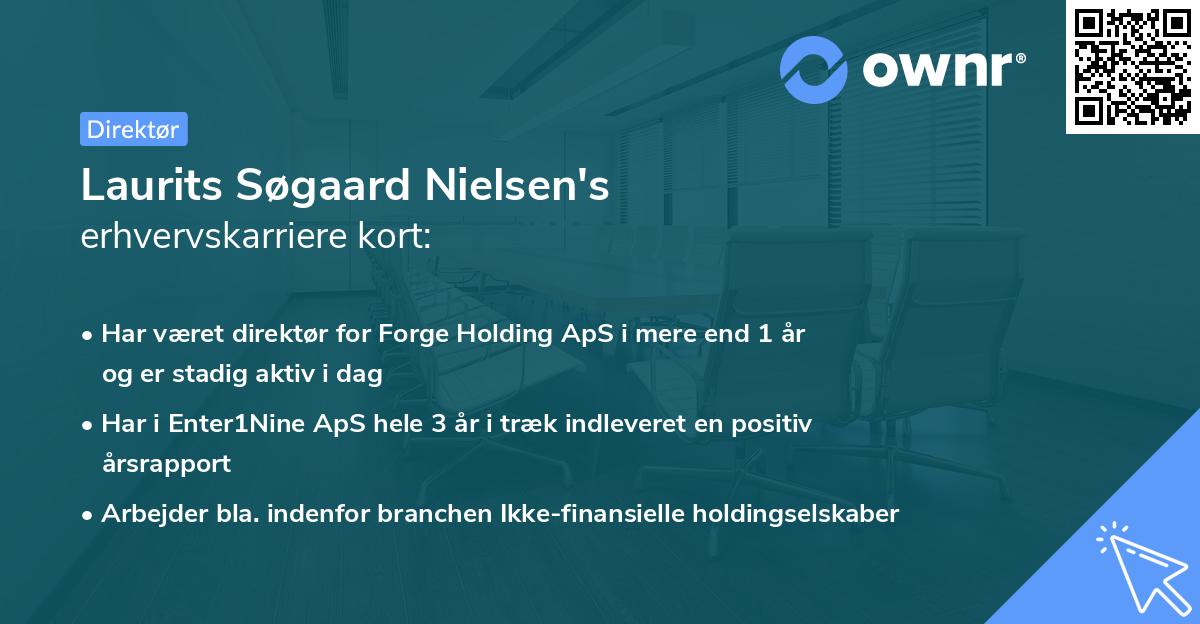 Laurits Søgaard Nielsen's erhvervskarriere kort