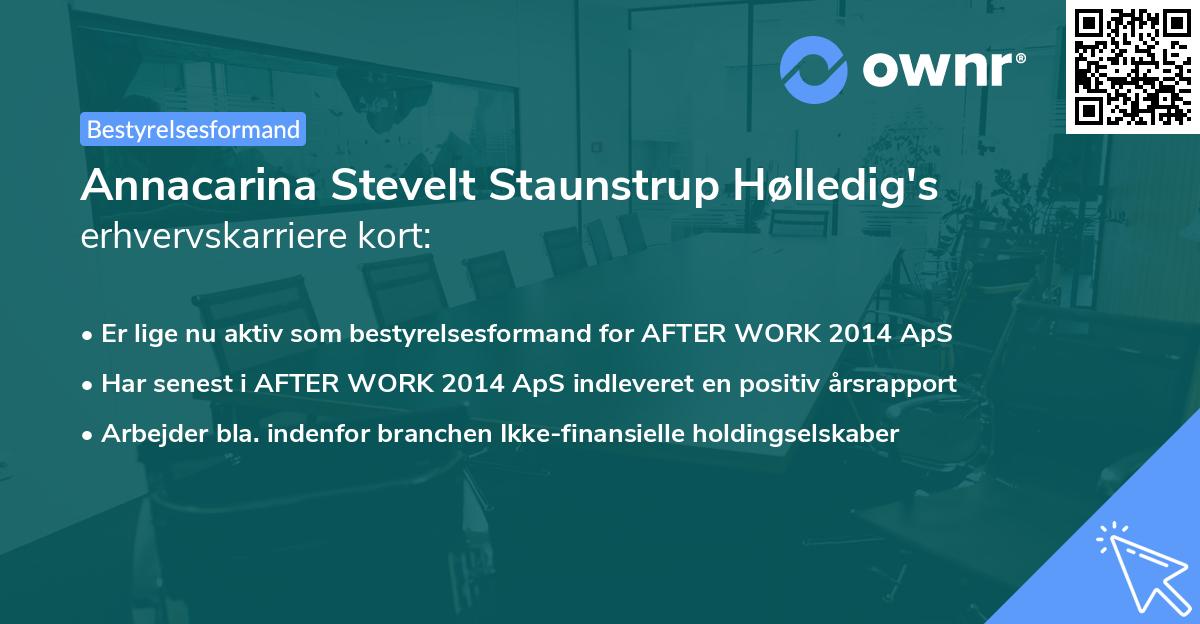 Annacarina Stevelt Staunstrup Hølledig's erhvervskarriere kort