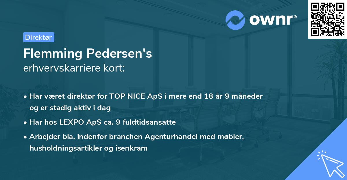 Flemming Pedersen's erhvervskarriere kort