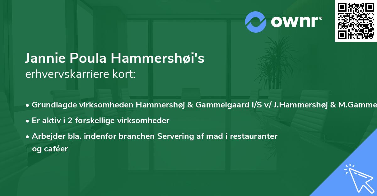 Jannie Poula Hammershøi's erhvervskarriere kort