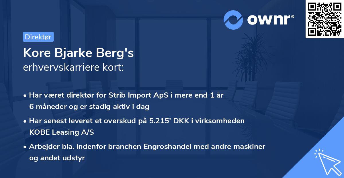 Kore Bjarke Berg's erhvervskarriere kort