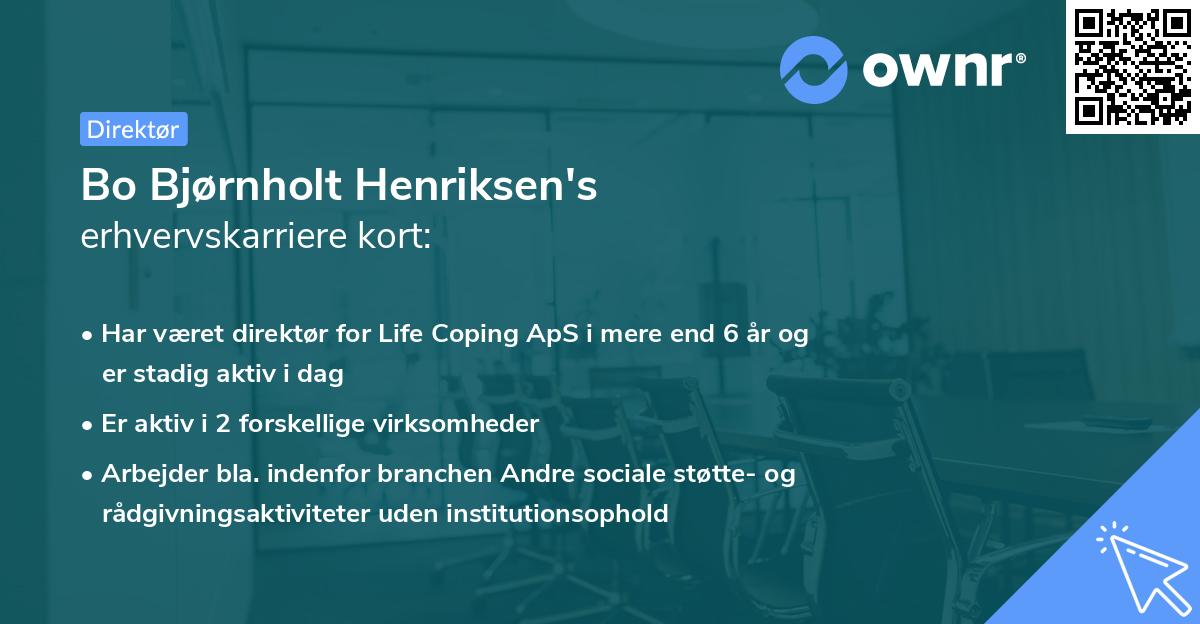 Bo Bjørnholt Henriksen's erhvervskarriere kort