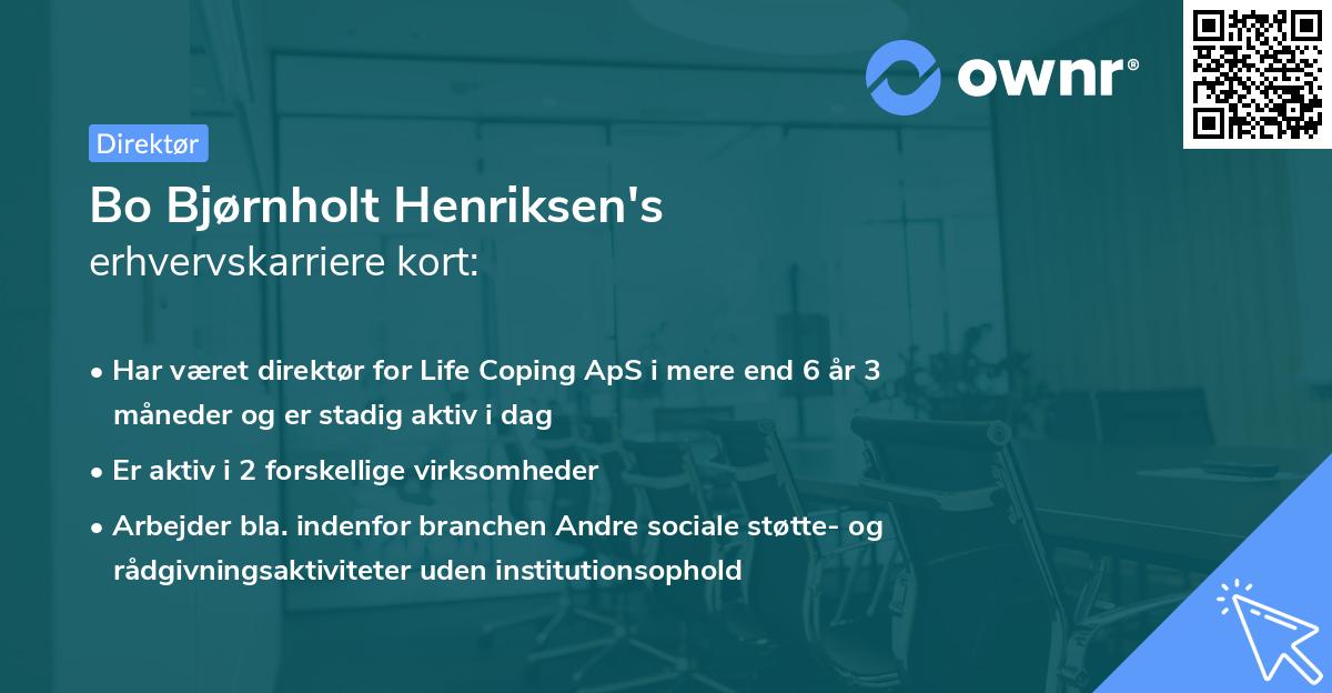 Bo Bjørnholt Henriksen's erhvervskarriere kort