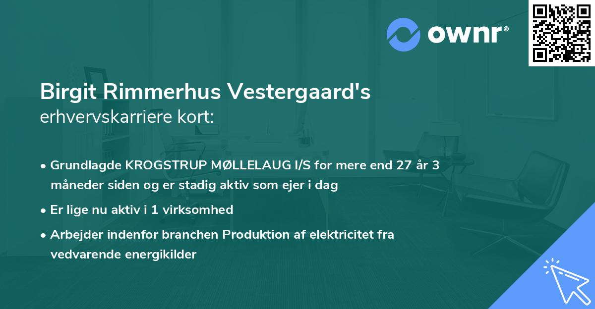 Birgit Rimmerhus Vestergaard's erhvervskarriere kort