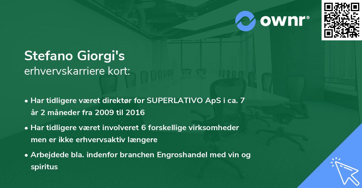 Stefano Giorgi's erhvervskarriere kort