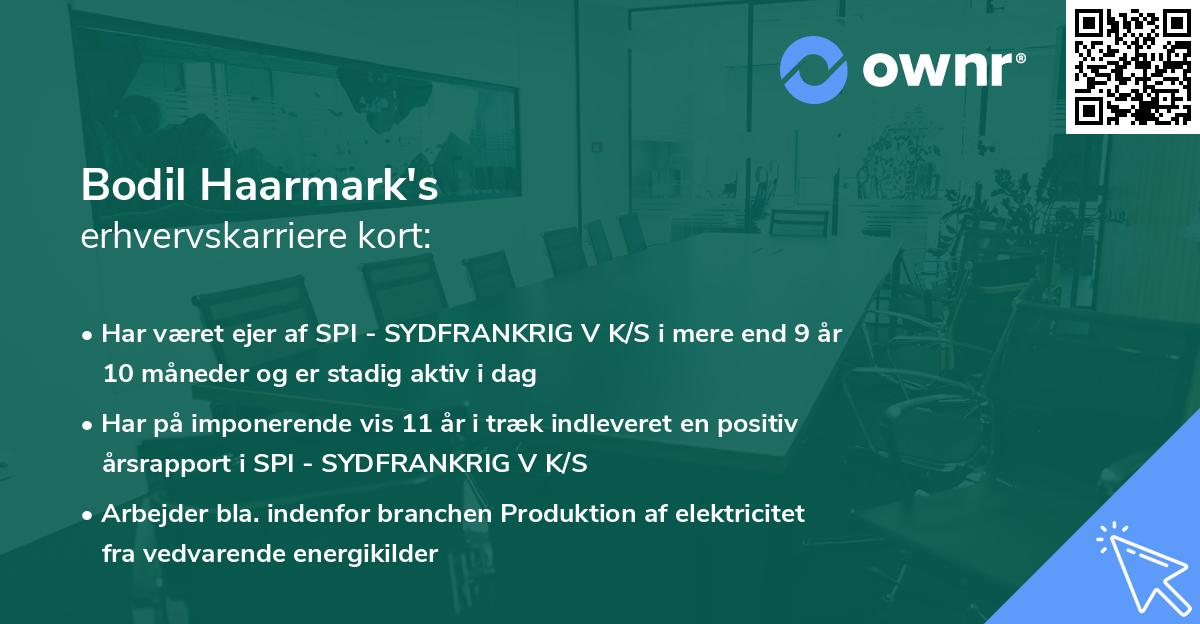 Bodil Haarmark's erhvervskarriere kort