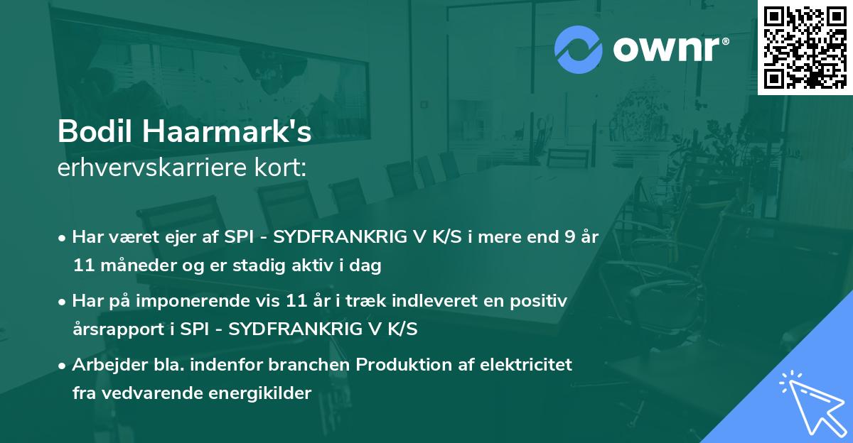 Bodil Haarmark's erhvervskarriere kort