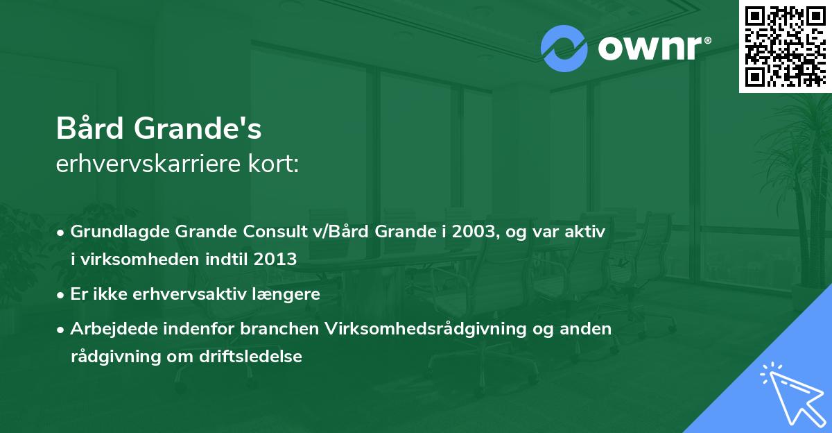 Bård Grande's erhvervskarriere kort